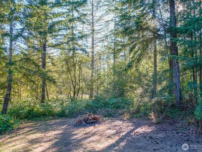 0 N Silver Lane S, Hoodsport, WA, 98548
