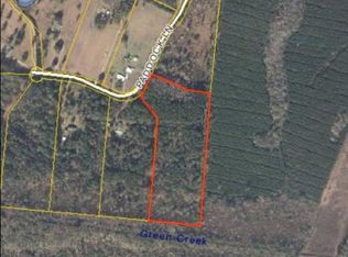 175 Paddock Ln, Brunswick, GA 31523