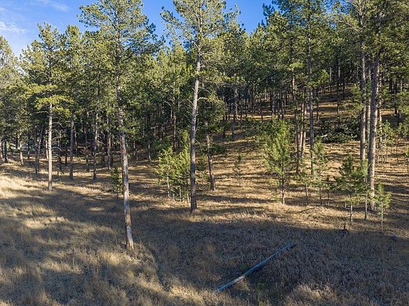 4th image of Tbd Caledonia Trl