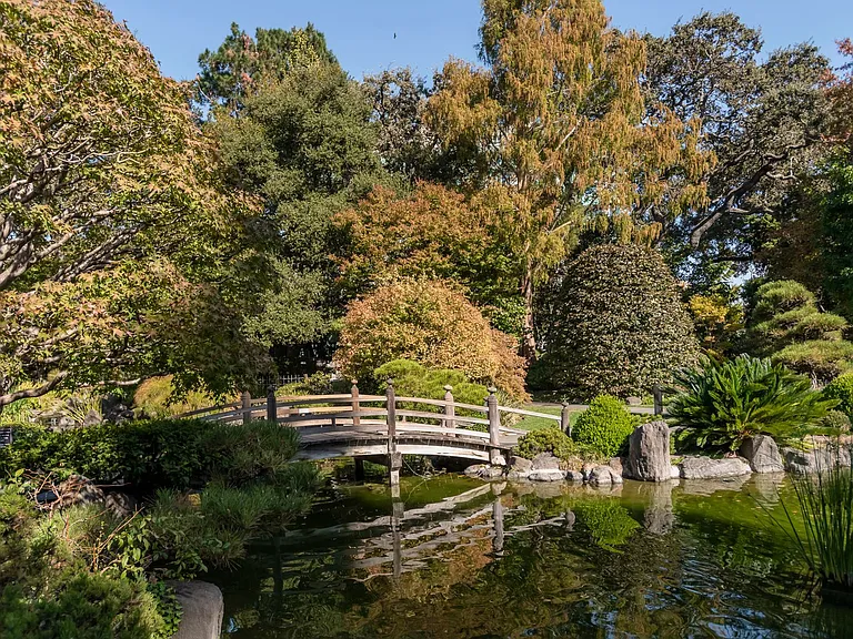 The Addison at Central Park — Photo 11