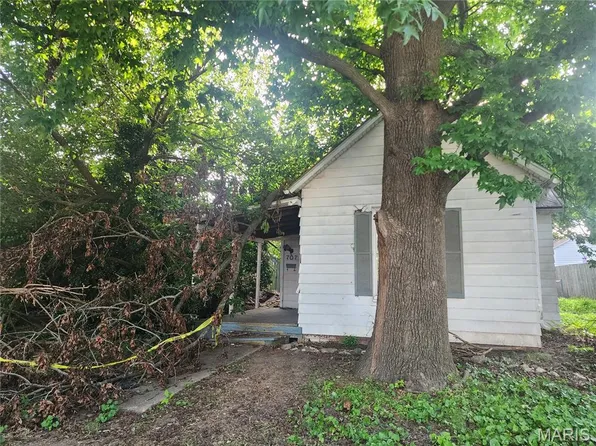 707 N Madison St, Litchfield, IL 62056