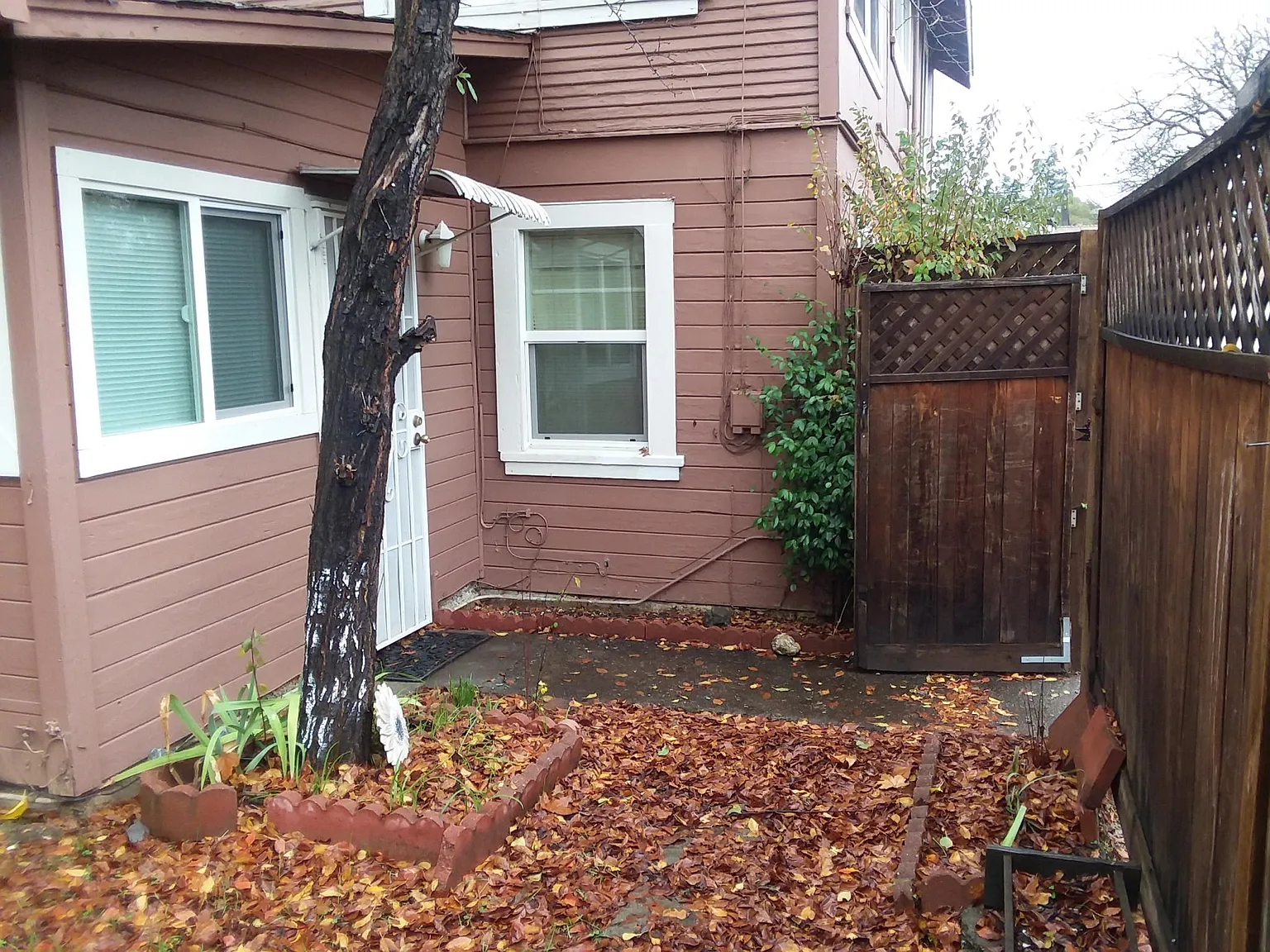 1 bed, $1,250 — Photo 2