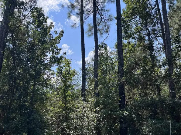 14705 Fm 252, Kirbyville, TX 75956