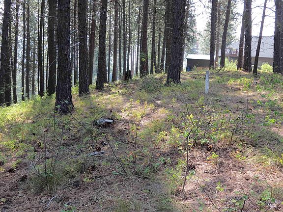 5th image of LOT 64 White Pine Dr