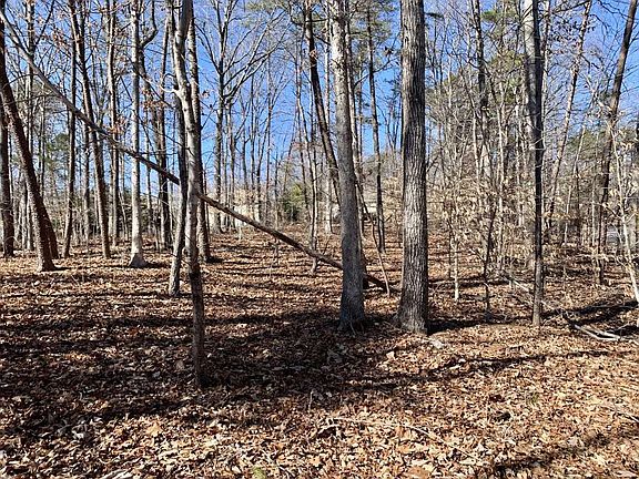 2nd image of LOT 10 Ravenwood Dr
