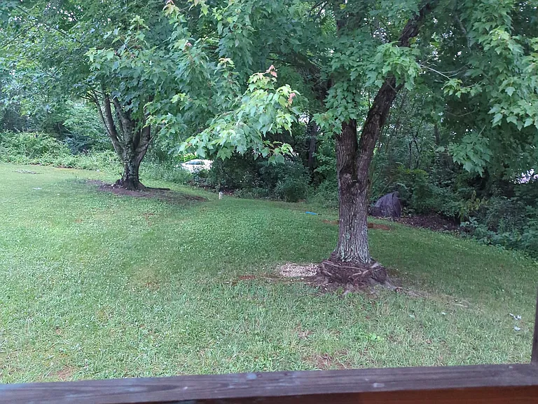 244 Hunter Hills Cir #3 — Photo 12