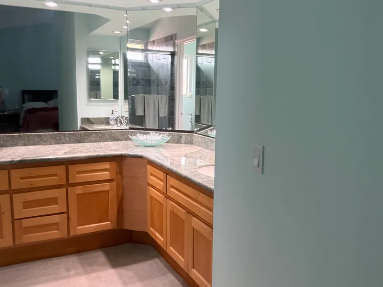 Primary bath feature extensive counters, cabinets, overhead lights and 2 sinks, natural light, soaking tub and private toilet room.