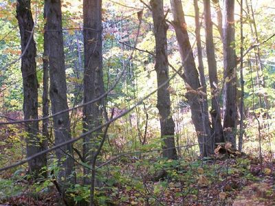 Walker Rd, Afton, MI, 49705