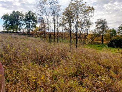 LOT 1 E Condensery Rd, Carson City, MI, 48811