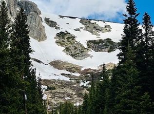 0 Mine Rd, Idaho Springs, CO 80452
