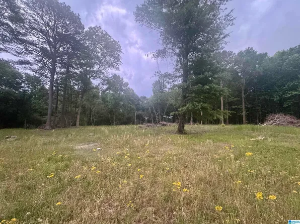 0 Mims Cir #0, Clanton, AL 35045