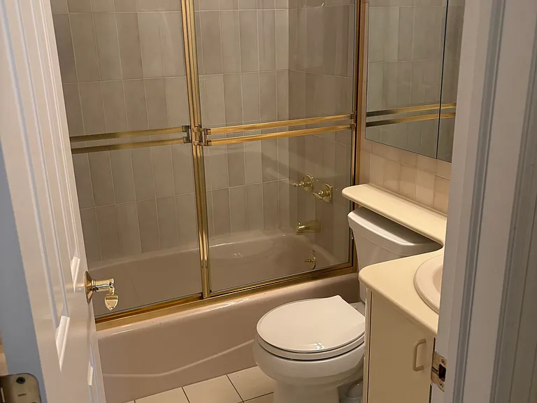 Hallway Bathroom