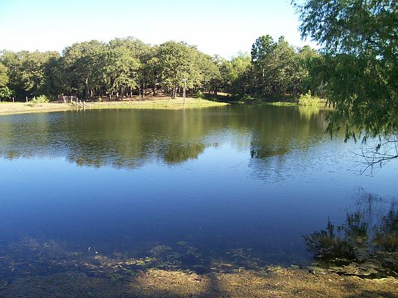 2nd image of 1976 County Road 447