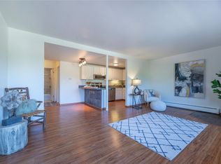 110 Evergreen Rd #102, Dillon, CO 80435