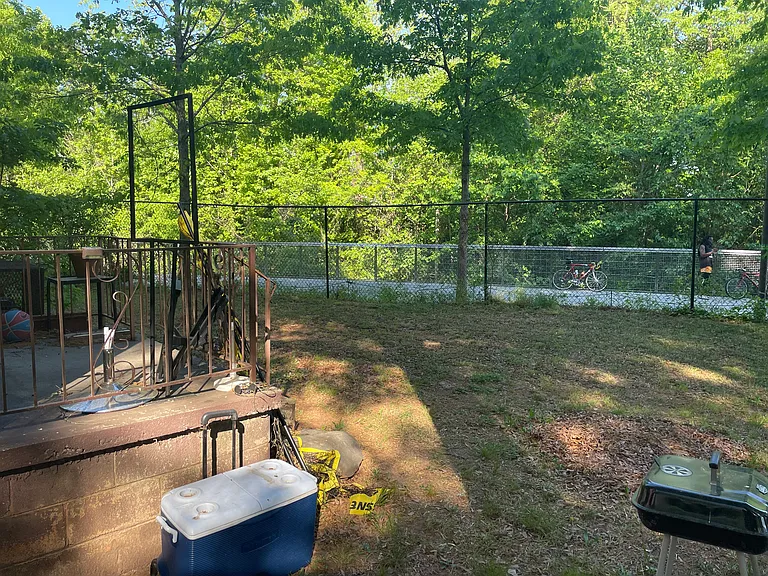 Back yard