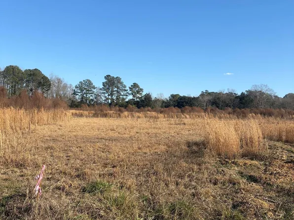 TBD Lot 3 Jewel Ln., Conway, SC 29527