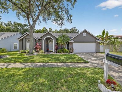 15026 Rocky Ledge Dr, Tampa, FL, 33625