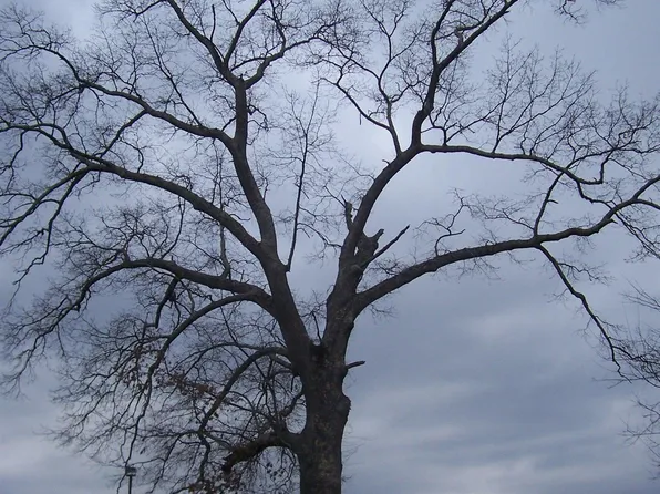 2411 Floyd Bradford Rd #1, Trussville, AL 35173