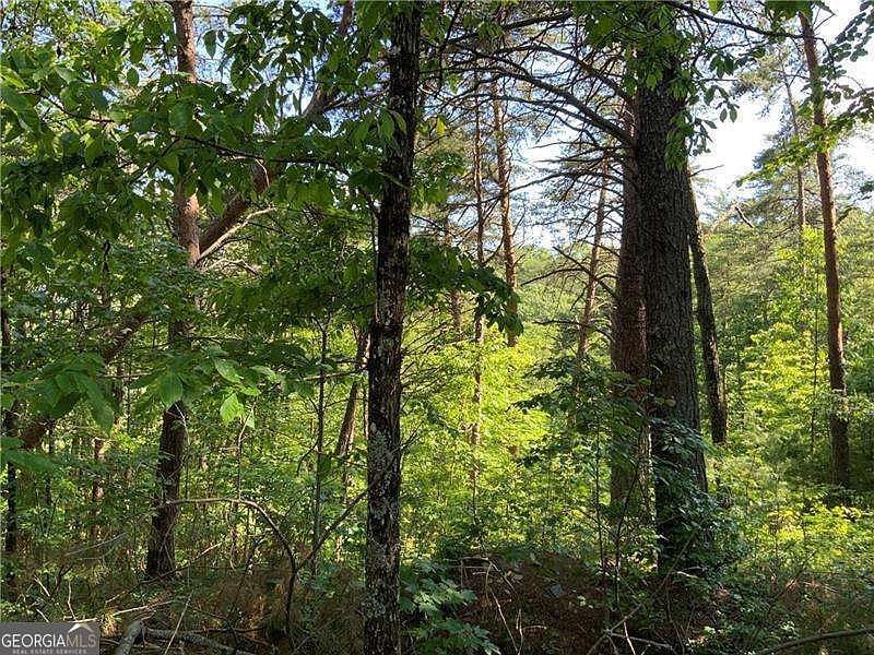 1st image of 1335 Birch Ln