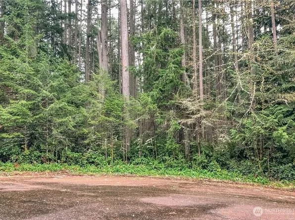 12514 93rd Street Ct, Anderson Island, WA 98303