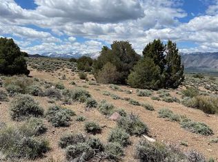 PARCEL 9 Lone Eagle Ct, Topaz, NV 89410