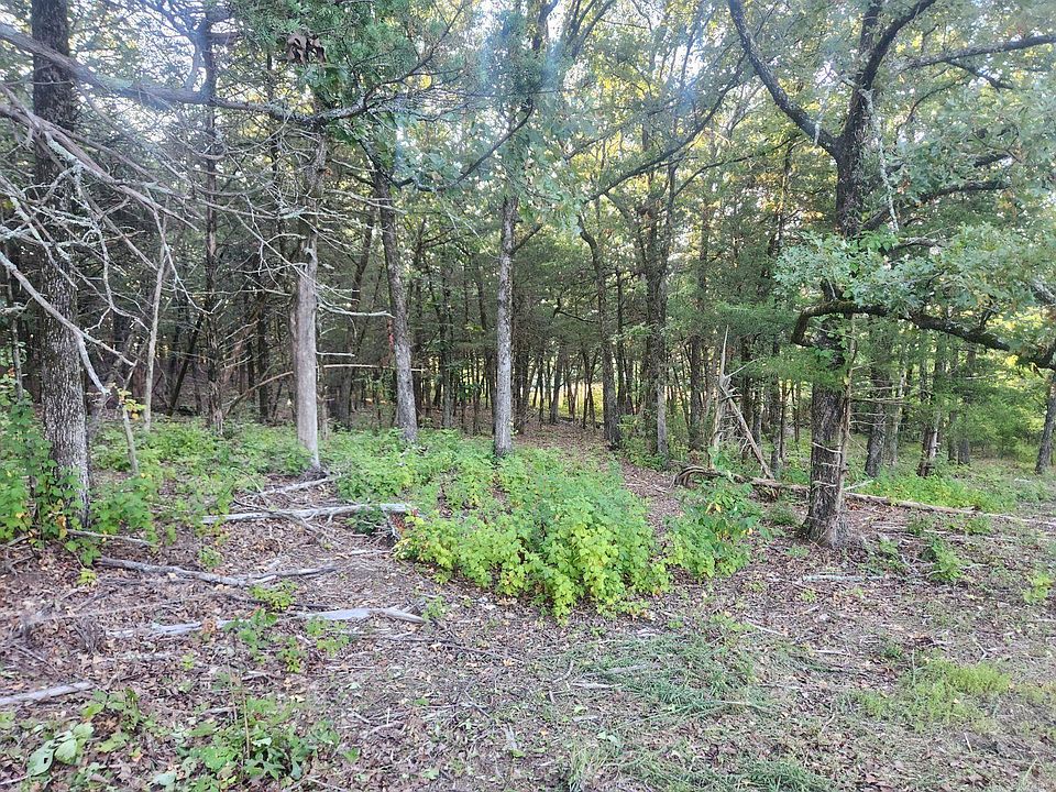 2nd image of 17 Indian Knob