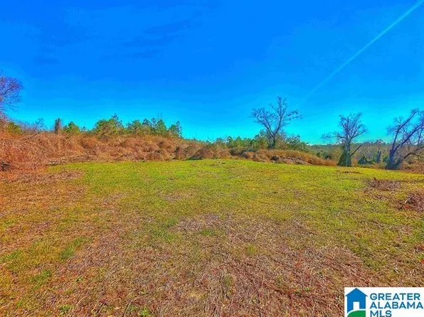 1046 Indiana Ave #1, Thorsby, AL 35171