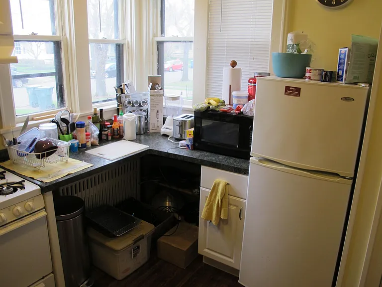 43 Vick Park #1A — Photo 4