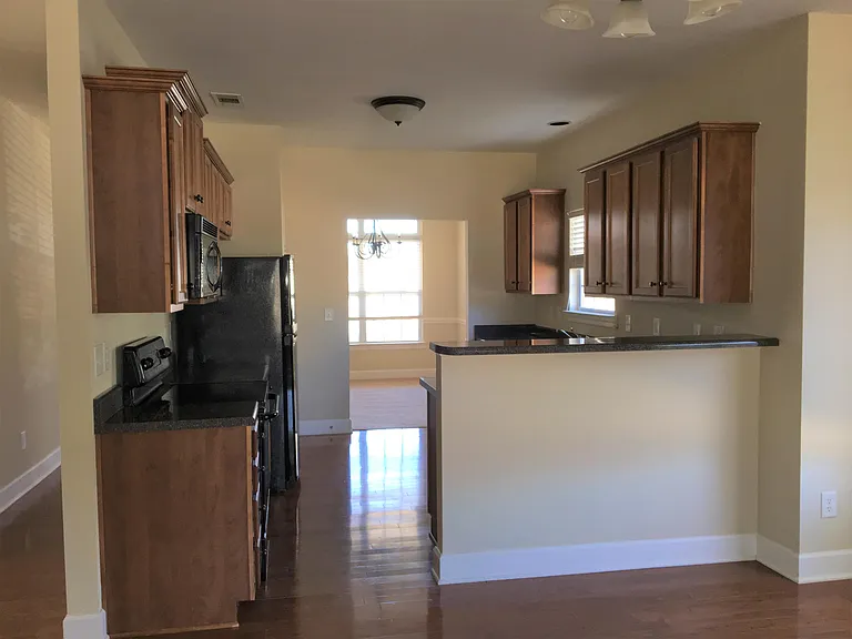247 Dobson Branch Ct — Photo 11