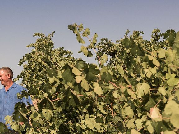 Homeowners Walking Through The Vineyards