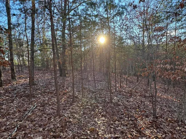LOT 49 Garrison Rdg, Pittsville, VA 24139