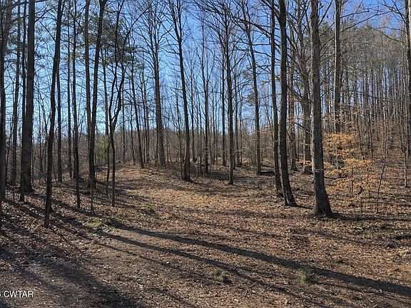 3rd image of 3290 Butler Chapel Rd