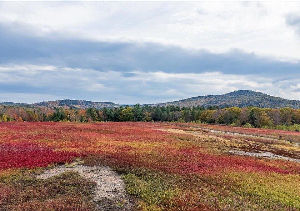 1st image of 423 Beech Hill Road