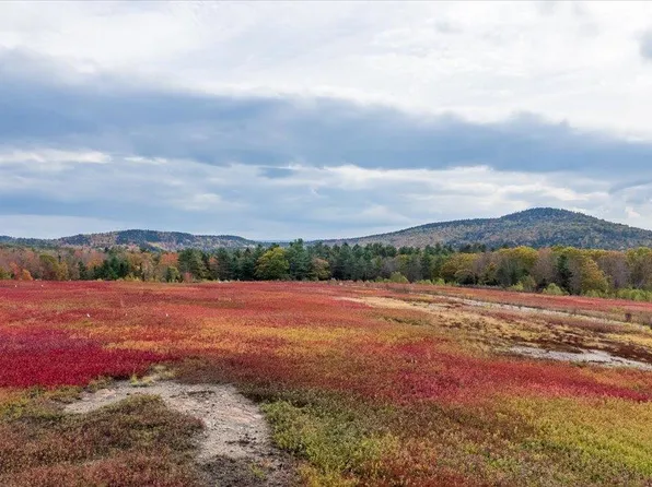 423 Beech Hill Road, Northport, ME 04849