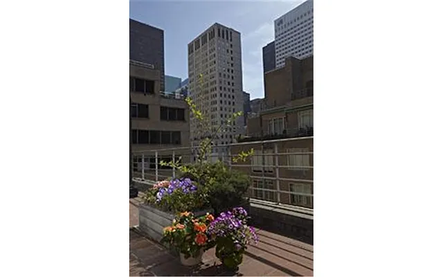 Sold by Douglas Elliman | media 21