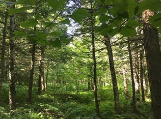 8309 Dicob Rd, Croghan, NY 13327