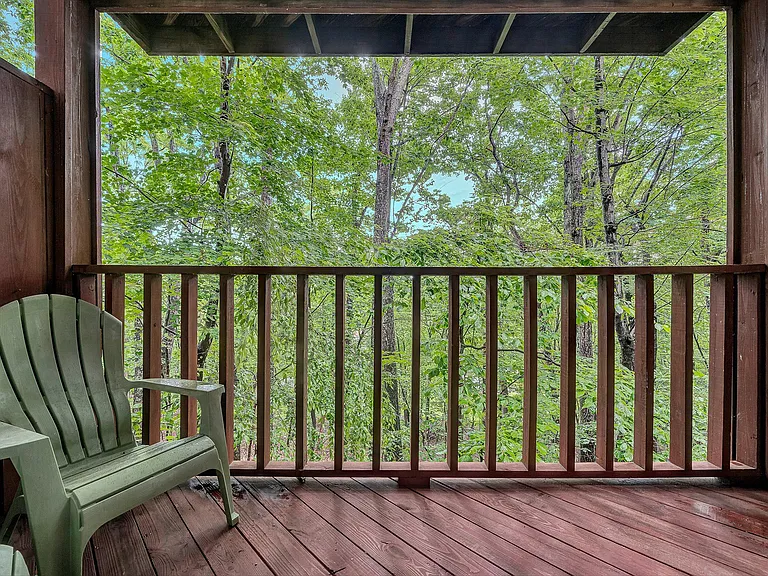 3273 Forest Ridge Rd — Photo 24