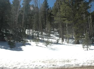 159 Back Basin Rd, Angel Fire, NM 87710