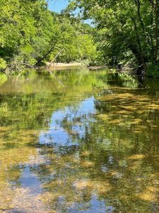 000 Tbd Road 345 #Tract D, Fordland, MO, 65652