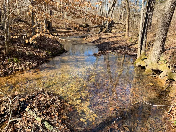 0 Big Opossum Crk, Waynesboro, TN 38485