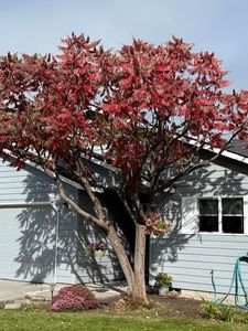 735 NE Oak Pl, Redmond, OR, 97756