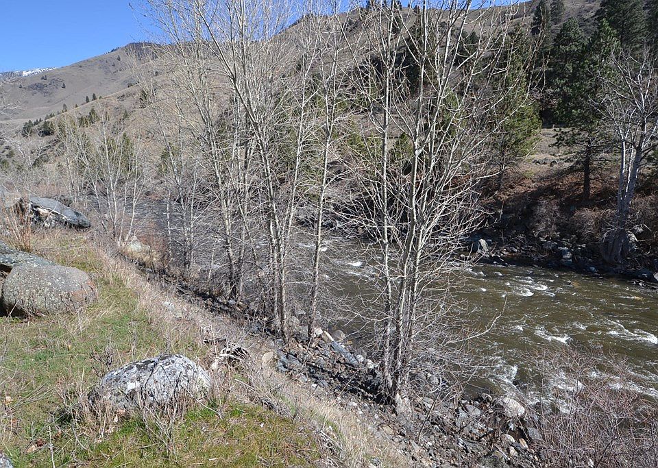 248 Old Pollock Rd, Pollock, ID 83547 Zillow