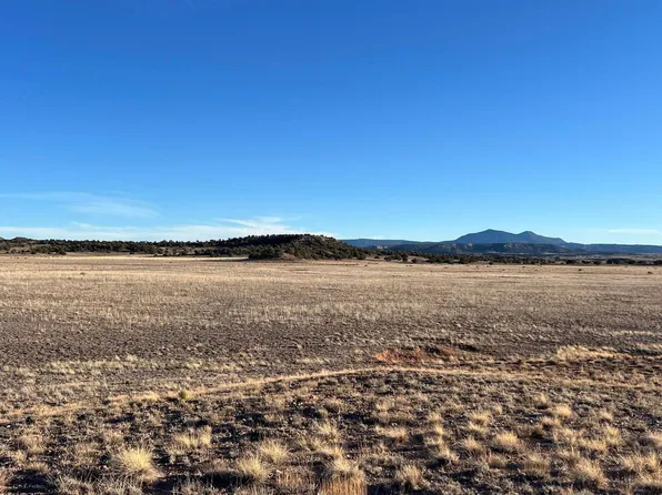Largo Creek Trl, Quemado, NM 87829