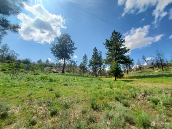 223 T Cameron Lake Loop Road, Okanogan, WA 98840