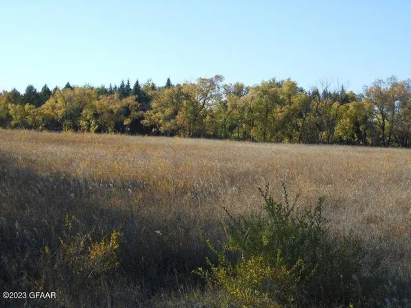 L2b1 David Dr, Larimore, ND 58251