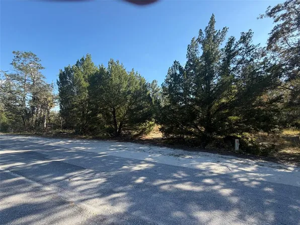 7360 W Chassahowitzka St Lot 43-A, Homosassa, FL 34448