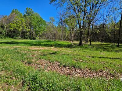 Physic Spring Rd, Dillwyn, VA, 23936