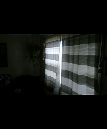 4th image of 1817 W 35th St #B