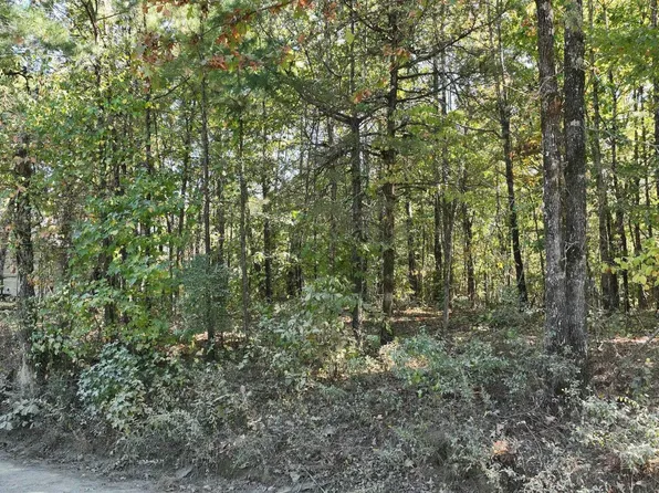 Polk Rd #257, Wickes, AR 71973