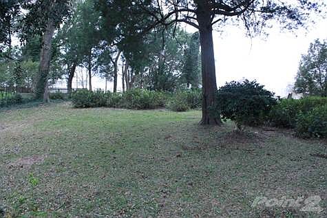 View of backyard